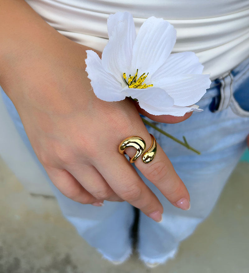 Anillo olas